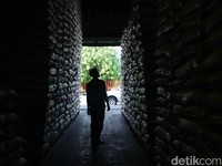 Bulog Sewa Gudang Rp 45 Miliar, Buwas: Nggak Perlu Impor Beras