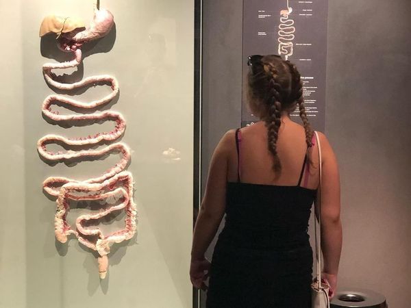 Belajar Organ Manusia di Museum Jenazah, Ngeri atau Keren?