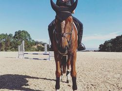 Gadis Cantik Kesayangan Steve Jobs Ini Diramal Pimpin Apple