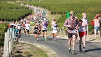 Adalah Marathon du Medoc, nama dari lomba lari maraton unik ini. Dinamakan begitu, karena lokasi digelarnya lomba ini ada di Kota Medoc, sekitar 71,5 km di sebelah utara Bordeaux, Prancis.  (AFP/Getty Images)