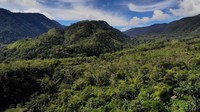 Di bagian atas untuk kayaker ekstrem yang jaraknya 10 kilometer. Seksi ekstrem atas ini biasa dibilang kelas 5 dalam arung jeram. Tapi di sana bisa melihat burung pintar dan pemandangan luar biasa (Dok. Mapala UI)