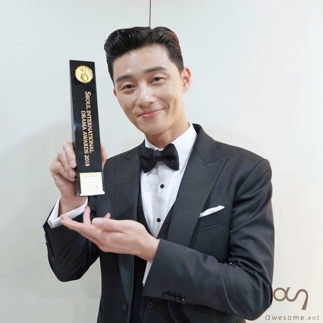 Seperti Tatjana Saphira, Park Seo Joon mendapatkan penghargaan dalam Seoul International Drama Awards 2018. Berkat aktingnya dalam serial Fight For My Way, diganjar penghargaan untuk kategori Best Actor for Hallyu Dramas. Foto: Instagram