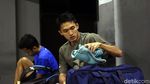 Cerita Jojo dari Ekskul di SD Hingga Raih Emas Asian Games