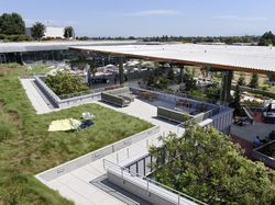 Kantor Baru Facebook yang Super Modern Ini Bikin Iri