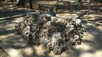 Sumur Penganten ada di Kebon Jimat Keraton Kanoman Cirebon, Kota Cirebon, Jawa Barat. Mandi di sumur ini dipercaya bisa mempermudah para jomblo menemukan pasangan hidupnya (Sudirman Wamad/detikTravel)