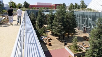 Gedung ini memanfaatkan pohon Redwood yang banyak ditemui di California Utara sebagai bagian dari desain outdoornya. (Foto: Michael Short/Bloomberg)