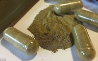 Sering Konsumsi Teh Herbal, Wanita Muda Ini Alami Kerusakan Otak