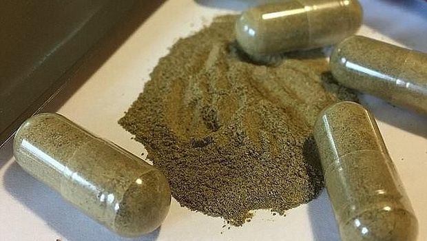 Teh Herbal Kratom
