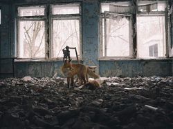 Karya Finalis Wildlife Photographer of the Year Bikin Terpukau