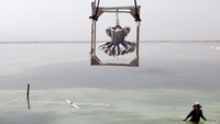 Sigit Landau merupakan seorang seniman seni rupa yang memiliki cara unik dalam membuat suatu karya seni. Seniman asal Israel ini menggunakan garam sebagai bahan membuat sebuah karya seni menarik. Nir Elias/Reuters.