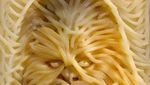 Kreatif! Wajah Donald Trump hingga Tokoh Kartun Dibuat dari Spaghetti