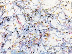 Karya Finalis Wildlife Photographer of the Year Bikin Terpukau