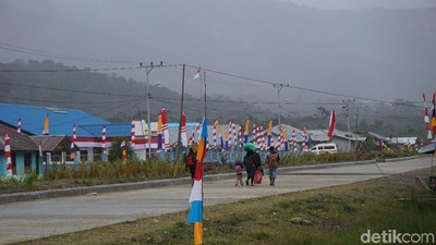 Potret Kabupaten Pegaf dan Denda Penabrak Babi
