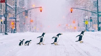 Jahn menggabungkan kemampuan fotografi tingkat tinggi dengan kreativitas luar biasa dalam mengedit hasil fotonya menjadi sebuah karya seni yang indah. Istimewa/Boredpanda.