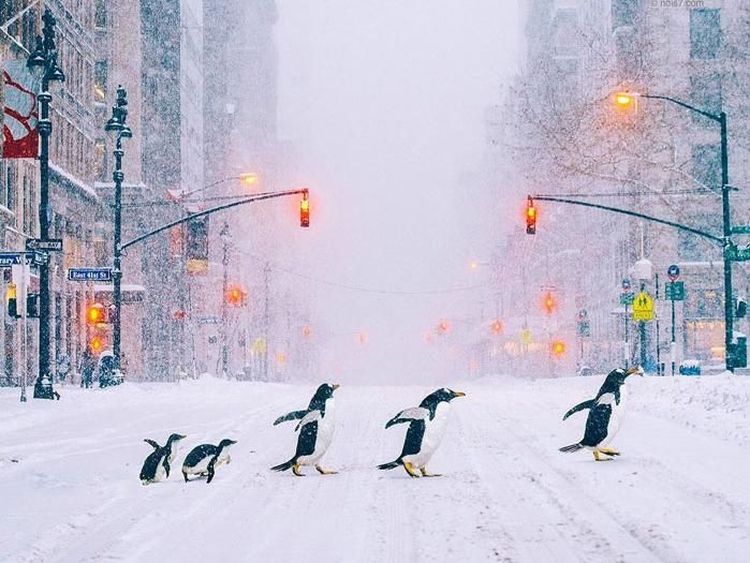 Karya Surealis Memukau Pakar Fotografi dan Photoshop