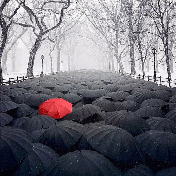 Unique de. Зонтик выделяющийся из толпы. Выделяется из толпы зонты. Сюрреализм в фотографии. Одиночество в толпе.