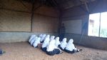 Foto: Siswa MTs di Banten Ini Belajar dengan Duduk di Tanah