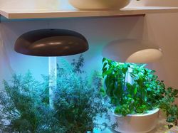 Melihat Unik dan Megahnya Pameran Teknologi Terbesar