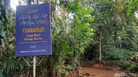 Hal itu dilakukan karena diyakini dapat membuang sial. Umumnya yang melakukan itu kaum perempuan. Karena yang mandi di mata air Cikawali kebanyakan perempuan. (Dadang Hermansyah/detikTravel)