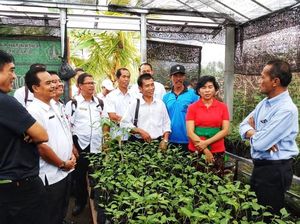 Kembangkan Rumah Pangan, Warga Ini Bisa Hemat Rp 500 Ribu/Bulan