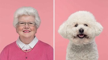 Seperti diketahui anjing merupakan hewan populer yang kerap dijadian peliharaan di rumah. Jessica & Buddy anjing jenis Bishon Frise. (Foto: Gerrard Gethings)