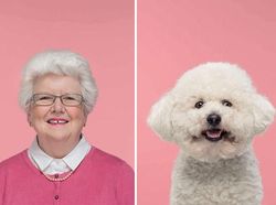 Potret Lucu Ekspresi Manusia dan Anjing yang Punya Kemiripan