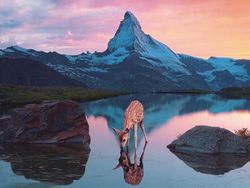 Karya Surealis Memukau Pakar Fotografi dan Photoshop