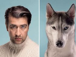 Potret Lucu Ekspresi Manusia dan Anjing yang Punya Kemiripan