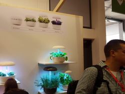 Melihat Unik dan Megahnya Pameran Teknologi Terbesar