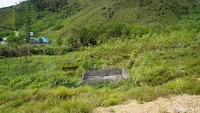 Kandang babi di Pegaf letaknya jauh dari pemukiman. Para sopir juga sangat menghindari atau menolak jika ada warga lokal yang meminta tumpangan gratis (Masaul/detikTravel)