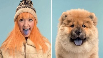 Monica & Reggie anjing jenis Chow Chow. (Foto: Gerrard Gethings)