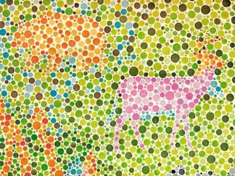 Kesulitan Tebak Gambar Ini? Mungkin Kamu Buta Warna