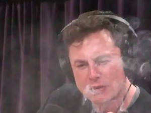 Isap Ganja, Elon Musk Ditawari Main Film Porno