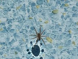 Potret Bayangan yang Bikin Mata Melihat Berkali-kali