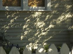 Potret Bayangan yang Bikin Mata Melihat Berkali-kali