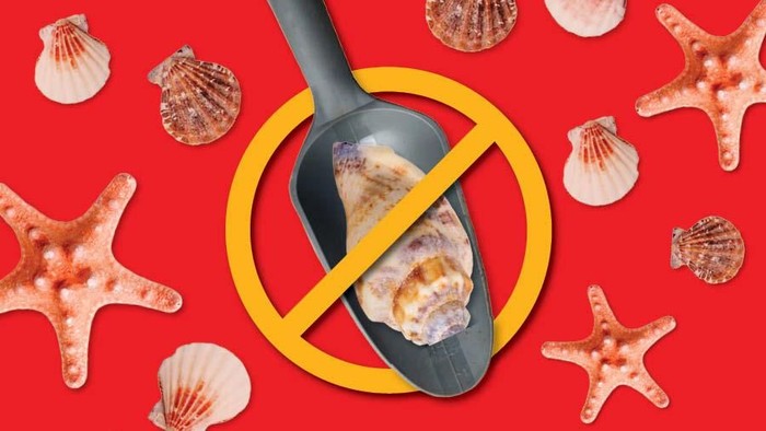 Stop Ambil Pasir Pantai!