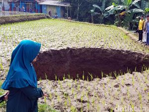 Video: Lubang Menganga di Tengah Sawah Hebohkan Sukabumi