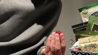 Begini antusiasnya Justin ketika menjelaskan braspberry, dan sebelum melahap dua buah kesukaannya ini. Foto: Instagram @justintimberlake