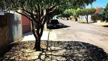 Keren! Seperti ada dua pohon, namun salah satunya hanyalah bayangan. (Foto: Boredpanda)