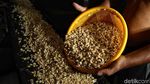 Perjuangan Perajin Tempe di Tengah Hantaman Dolar AS