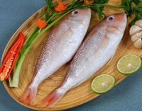 Miris! Pria Ini Harus Dipenjara Usai Curi Ikan yang Diidamkan Istrinya