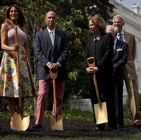 First Lady Amerika Serikat, Melania Trump ikut aksi menanam pohon di Gedung Putih belum lama ini. Di acara itu, ia tampil stylish dengan gaun dan stiletto. Foto: Dok. Getty Images