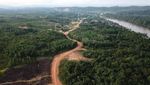 Wow, Jalan Perbatasan Kalimantan Dibangun Tembus Hutan