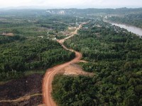 Melihat Untung-Rugi Kalimantan Timur Jadi Ibu Kota Baru RI