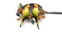 Dua ekor burung cantik ini dibuat dari irisan buah apel, melon dan mentimun. Karena bentuknya yang kecil maka perlu ketelitian untuk mengukir satu persatu detail burung ini. Tapi hasilnya keren! Foto: Istimewa