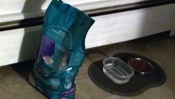 Plastik makanan ini memiliki bayangan berwujud kucing. (Foto: Boredpanda)
