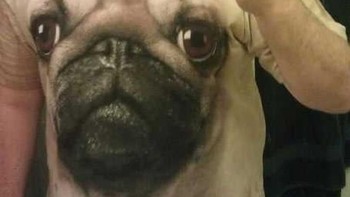 Mencoba meniru ekspresi anjing di kaos yang dipakainya. Foto: via Brightside