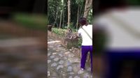 Tutup Hidung Sampai Lap Tangan, Tingkah Kocak Monyet Saat Diberi Durian