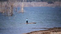 Beginilah suasana waduk saat mengering. Pepohonan kering bermunculan dari dalam waduk. (Wisma Putra/detikTravel)