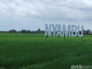 Mimpi Desa Wisata Nyambu Jadi Ubud Kedua di Pulau Dewata